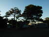 20100704212307-DSCF5768.JPG