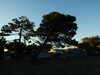 20100704212312-DSCF5769.JPG