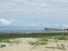 20100705145500-DSCF5776.JPG