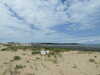20100705145559-DSCF5782.JPG