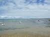 20100705150759-DSCF5785.JPG