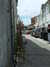 20100705152914-DSCF5802.JPG