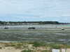 20100705160901-DSCF5803.JPG