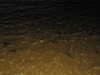 20100705205203-IMG_0792.JPG