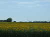20100706164247-DSCF5806.JPG