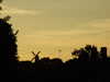 20100706211723-DSCF5819.JPG