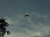 20100706211902-DSCF5823.JPG