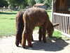 20100707112335-DSCF5846.JPG
