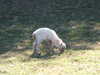 20100707112459-DSCF5849.JPG
