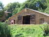 20100707114541-DSCF5856.JPG