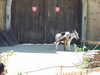 20100707120656-DSCF5859.JPG