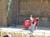 20100707121257-DSCF5864.JPG
