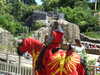 20100707134119-DSCF5893.JPG