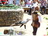20100707134225-DSCF5896.JPG
