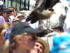 20100707134315-DSCF5898.JPG