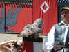 20100707134512-DSCF5902.JPG