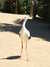 20100707140630-DSCF5940.JPG