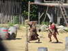 20100707142335-IMG_0994.JPG