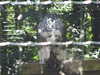 20100707150553-IMG_1023.JPG