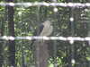20100707150612-IMG_1024.JPG