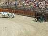 20100707152434-DSCF5988.JPG