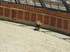 20100707153525-DSCF5994.JPG