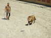 20100707153534-DSCF5995.JPG