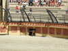 20100707153843-DSCF5998.JPG