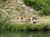 20100707162220-DSCF6010.JPG