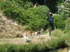 20100707162233-DSCF6011.JPG
