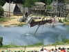 20100707162928-DSCF6017.JPG