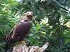 20100707170639-DSCF6031.JPG