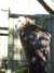 20100707171233-DSCF6034.JPG