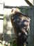 20100707171238-DSCF6035.JPG