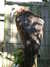 20100707171243-DSCF6036.JPG