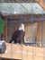 20100707171428-DSCF6040.JPG