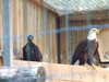 20100707171447-DSCF6042.JPG