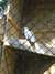 20100707172021-DSCF6049.JPG