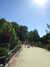 20100707172324-DSCF6052.JPG