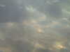 20100709150000-PICT0008.JPG