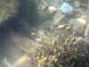 20100709150001-PICT0009.JPG
