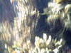 20100709150005-PICT0013.JPG