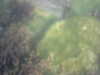 20100709150006-PICT0014.JPG