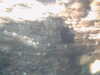 20100709150014-PICT0022.JPG