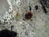 20100709150023-PICT0031.JPG