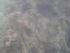 20100709150025-PICT0033.JPG