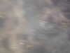 20100709150029-PICT0037.JPG