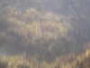 20100709150030-PICT0038.JPG