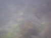 20100709150033-PICT0041.JPG