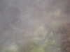 20100709150034-PICT0042.JPG